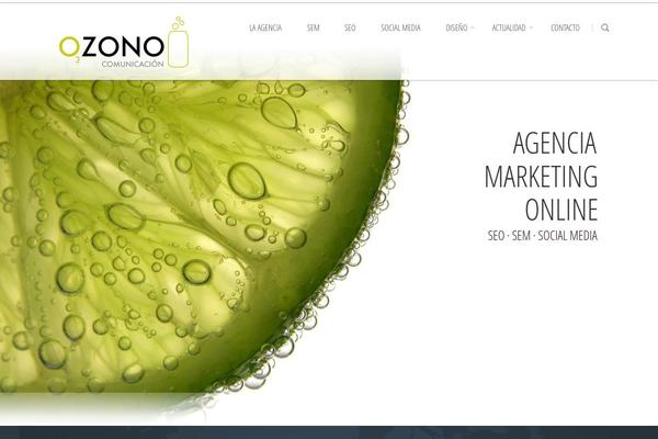 Site using Hero Social Widget plugin