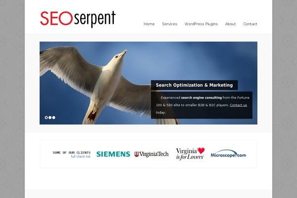 Refined-wp theme site design template sample