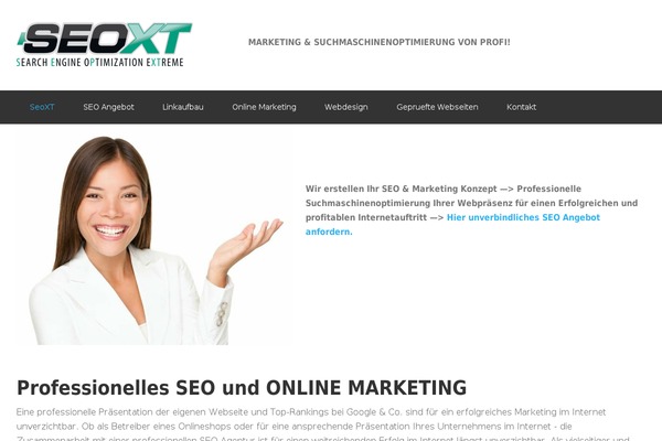 Envision theme site design template sample