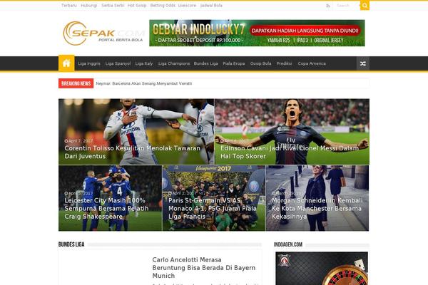 Sahifa theme site design template sample