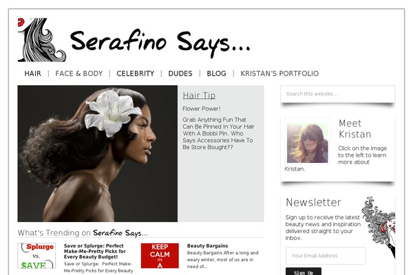 Site using Slick Popup plugin