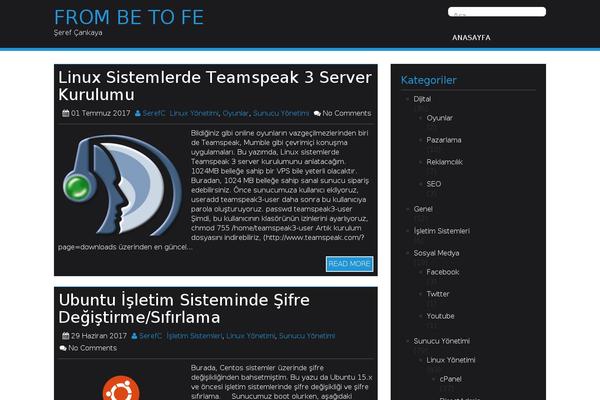 Centilium theme site design template sample