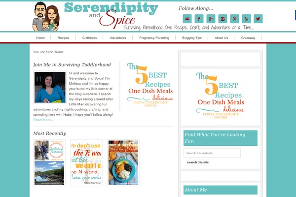 Site using Mediavine-trellis-images plugin