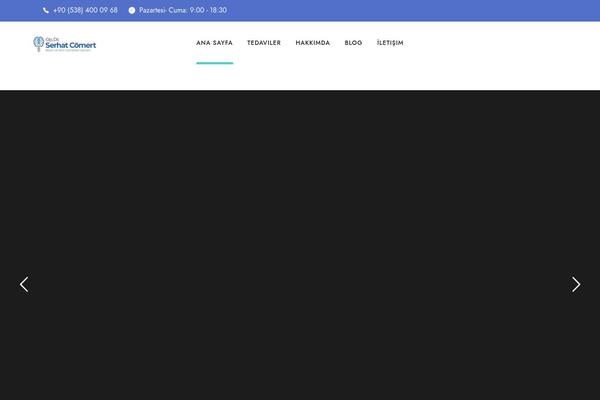 Mediz theme site design template sample
