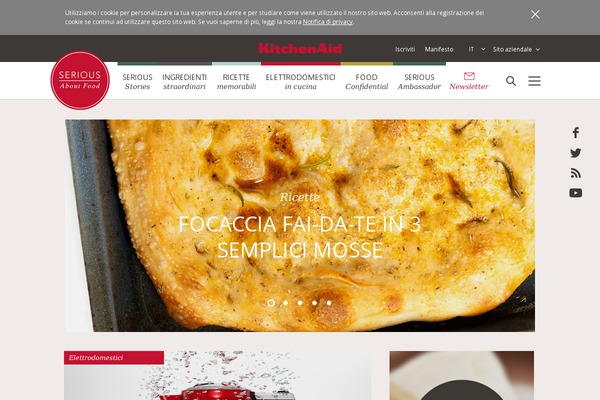 seriousaboutfood theme websites examples