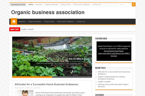 Sahifa theme site design template sample