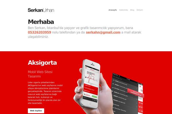 Site using Dribbble Portfolio plugin