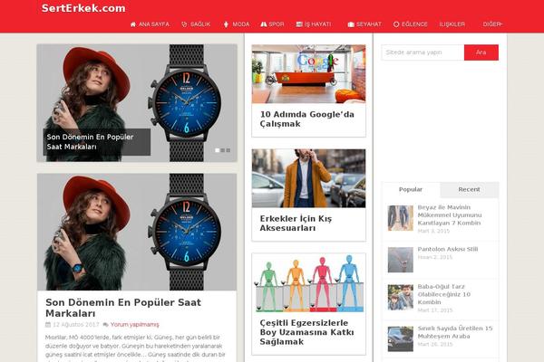 Pinstagram theme site design template sample