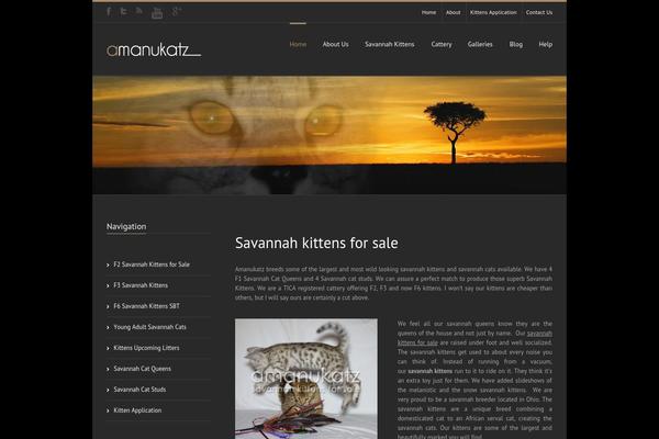 Site using Wp-copy-protect-with-color-design plugin
