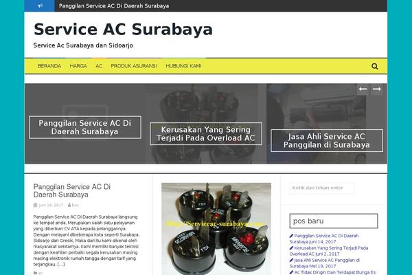 FlyMag theme site design template sample