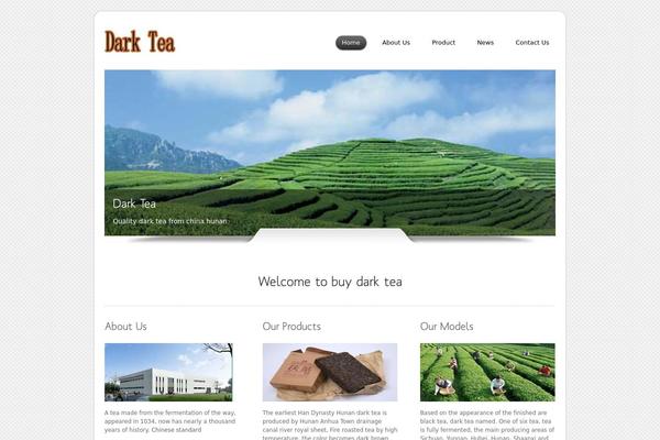 Dzonia Lite theme site design template sample