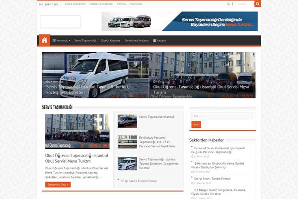 servistasimaciligi.com site used Servis