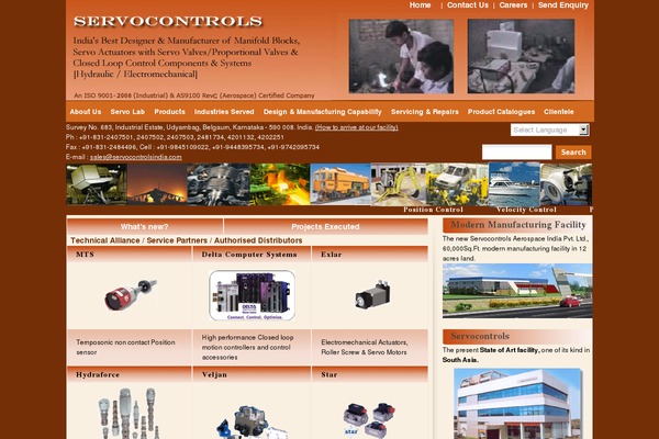 Blue and Grey theme site design template sample