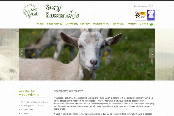 blocked-child WordPress theme, websites list used blocked-child theme blocked-child theme websites examples