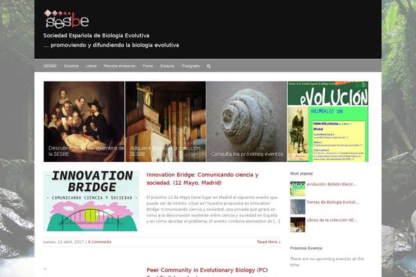 Avada Child Theme theme site design template sample