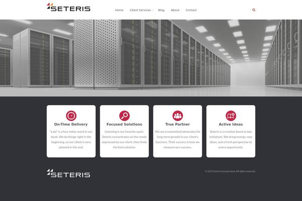 Company theme site design template sample