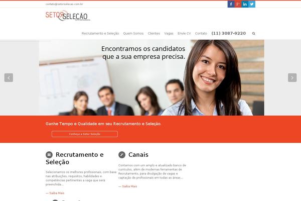 setorselecao.com.br site used Childthemedivi