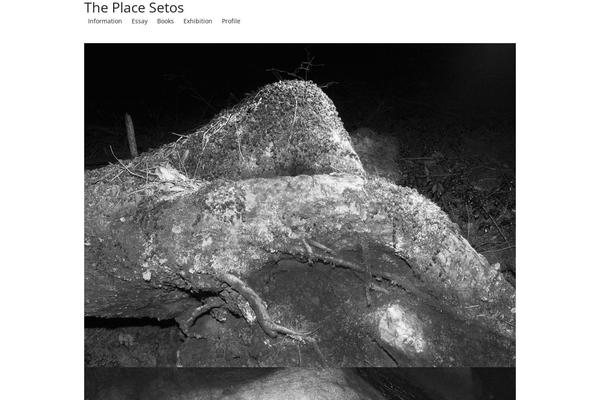 Site using Bogo plugin