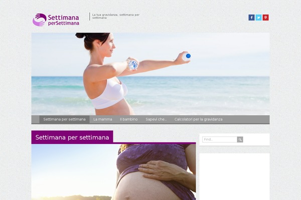 Fuji theme site design template sample
