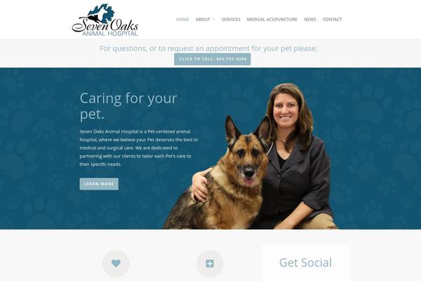 Salient theme site design template sample