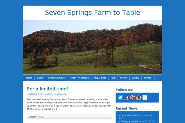 Backyard-grill theme site design template sample