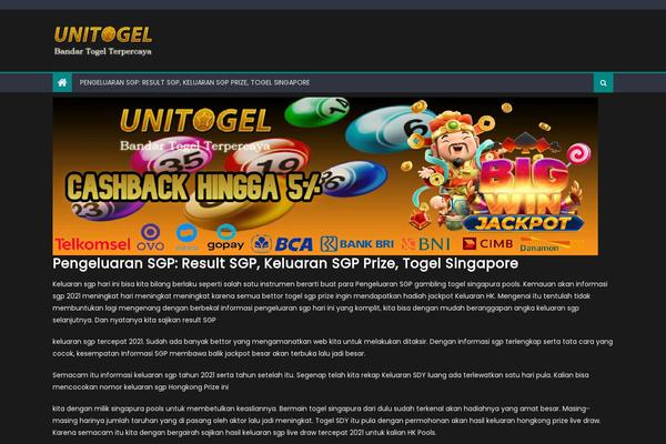 Newspaper Lite theme site design template sample