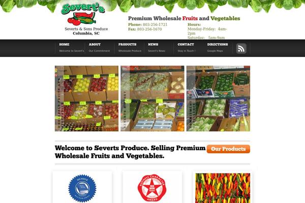 Novocane theme site design template sample