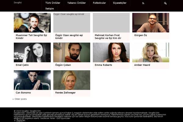 Ssmag theme site design template sample