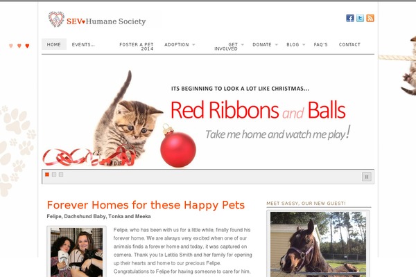 PlatformPro theme site design template sample