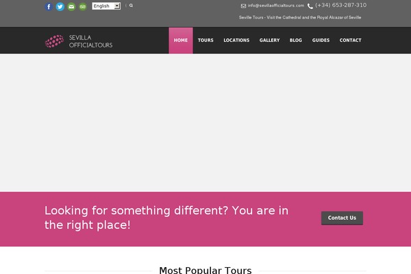 Tour Package theme site design template sample