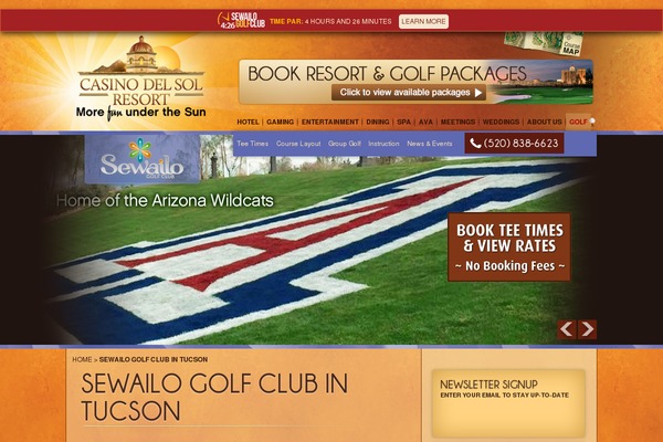 Cds theme site design template sample