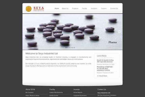 Gingerdomain theme site design template sample