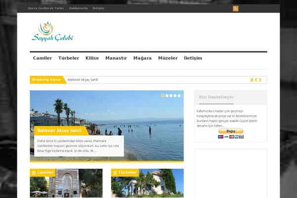 Wt_pacific theme site design template sample