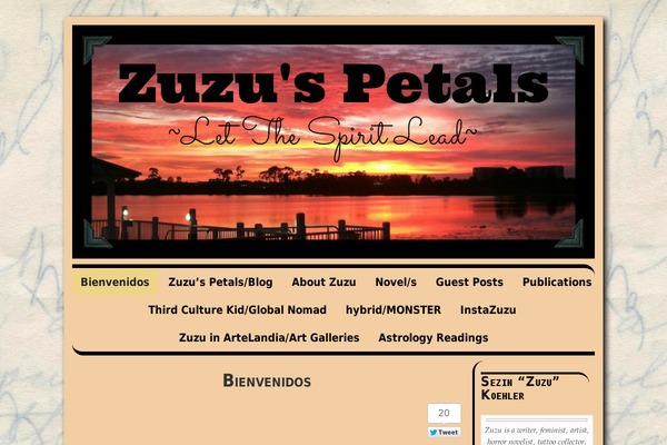 Site using Flickr Badges Widget plugin