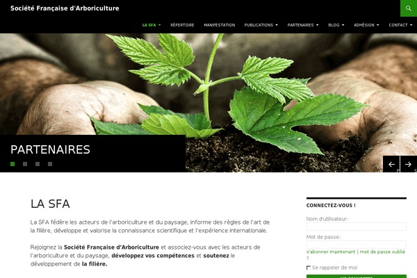 Twenty Fourteen theme site design template sample
