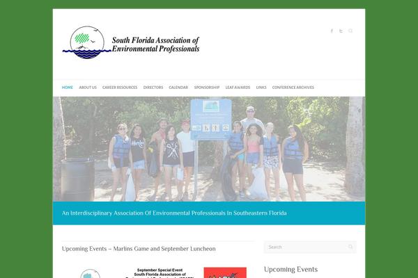 Attitude Pro theme site design template sample