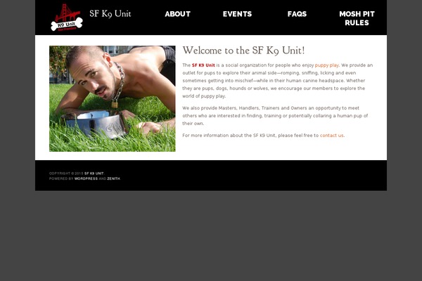 Zenith theme site design template sample