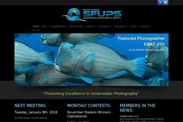 Site using Nextgen-gallery-pro plugin