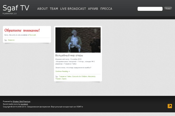 Shaken Grid Premium theme site design template sample