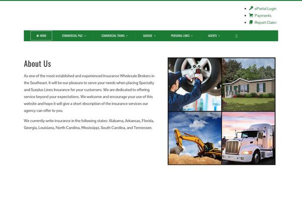 Total-plus theme site design template sample