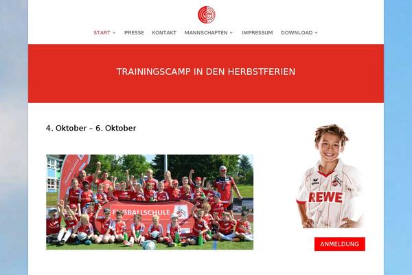 Site using Logo-showcase-with-slick-slider plugin