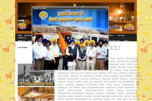 Bizpress theme websites examples