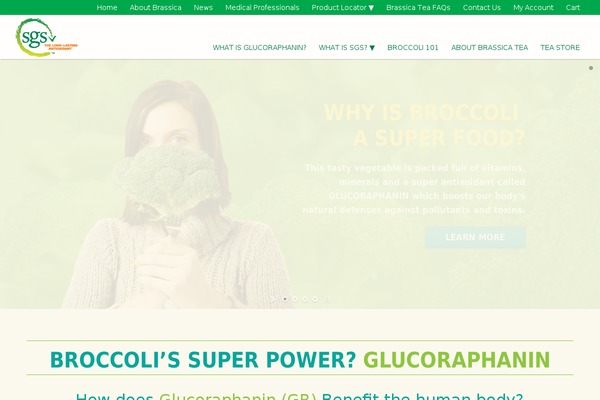 Site using GIF Animation Preview plugin