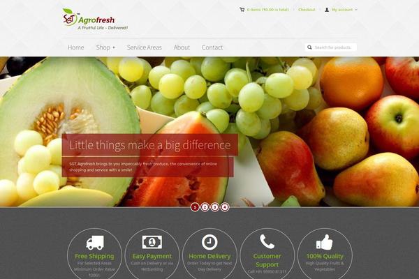 pandora theme site design template sample