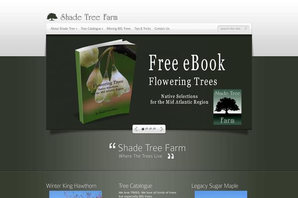 Site using FancyBox Gallery plugin