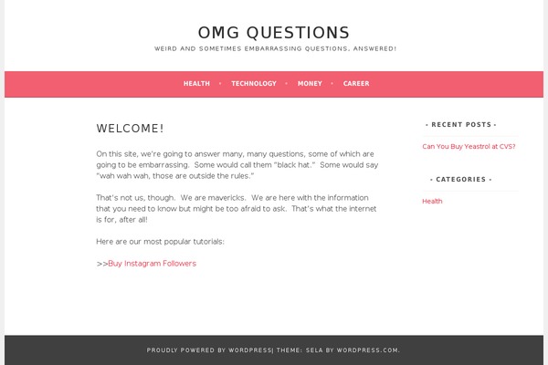 Sela theme site design template sample