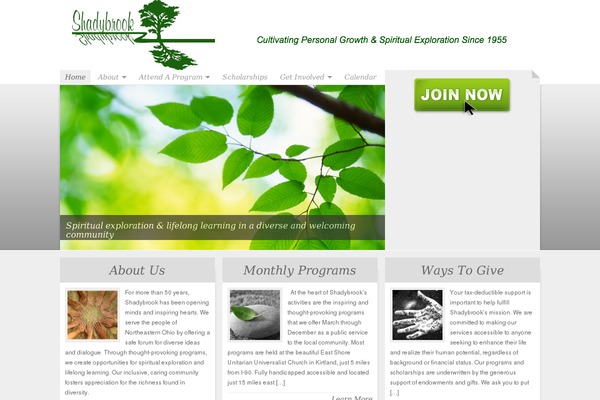 NonProfit theme site design template sample