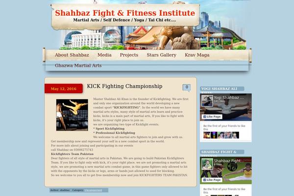Simple China theme site design template sample