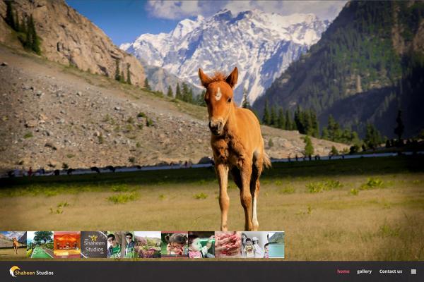 Gt3-wp-frame theme site design template sample