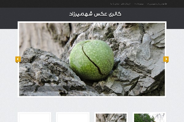 Site using FoxyBookmark plugin